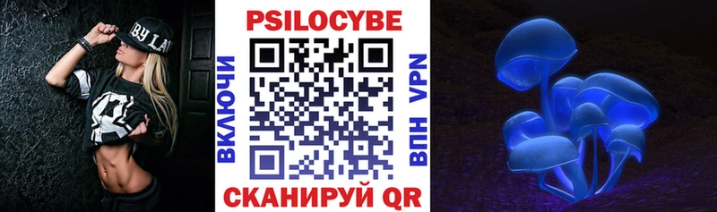 Галлюциногенные грибы Psilocybe  Балаково 